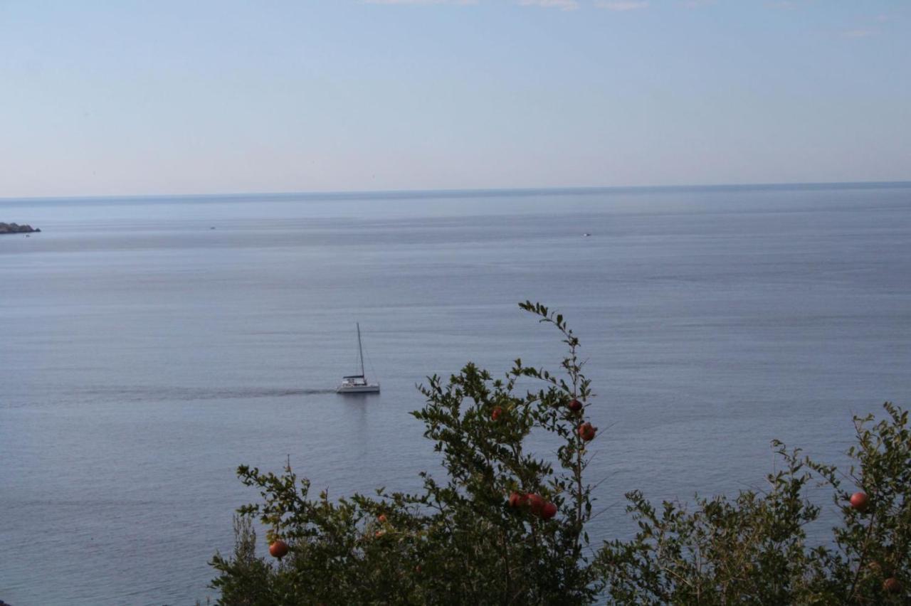 Apartman Anka Dubrovnik Kültér fotó